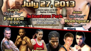 Fight Night at the Park 2