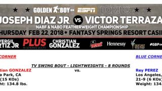 Bout Sheet: Diaz Jr vs Terrazas