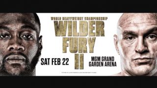 Wilder - Fury 2 banner